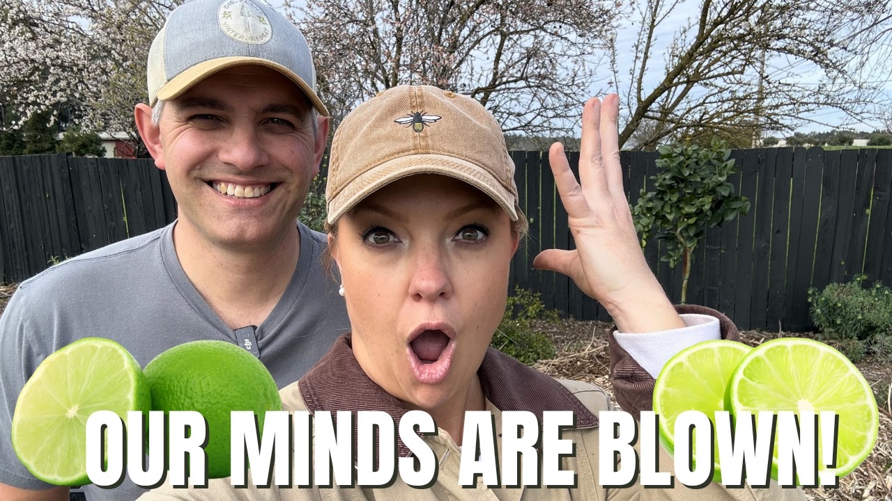 Planting a Lime Tree in Our Orchard Garden (Plus Blowing Our Minds with Surprising Lime Facts!😆)