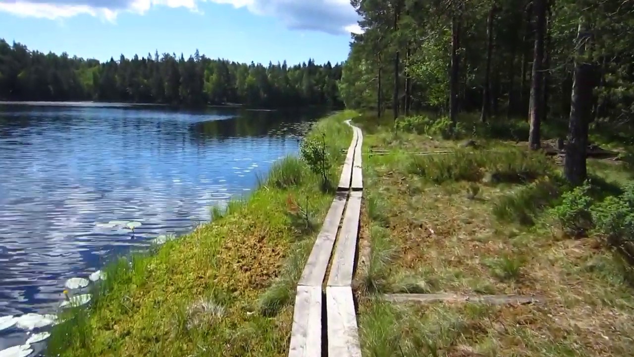 Sipoonkorpi National Park trip