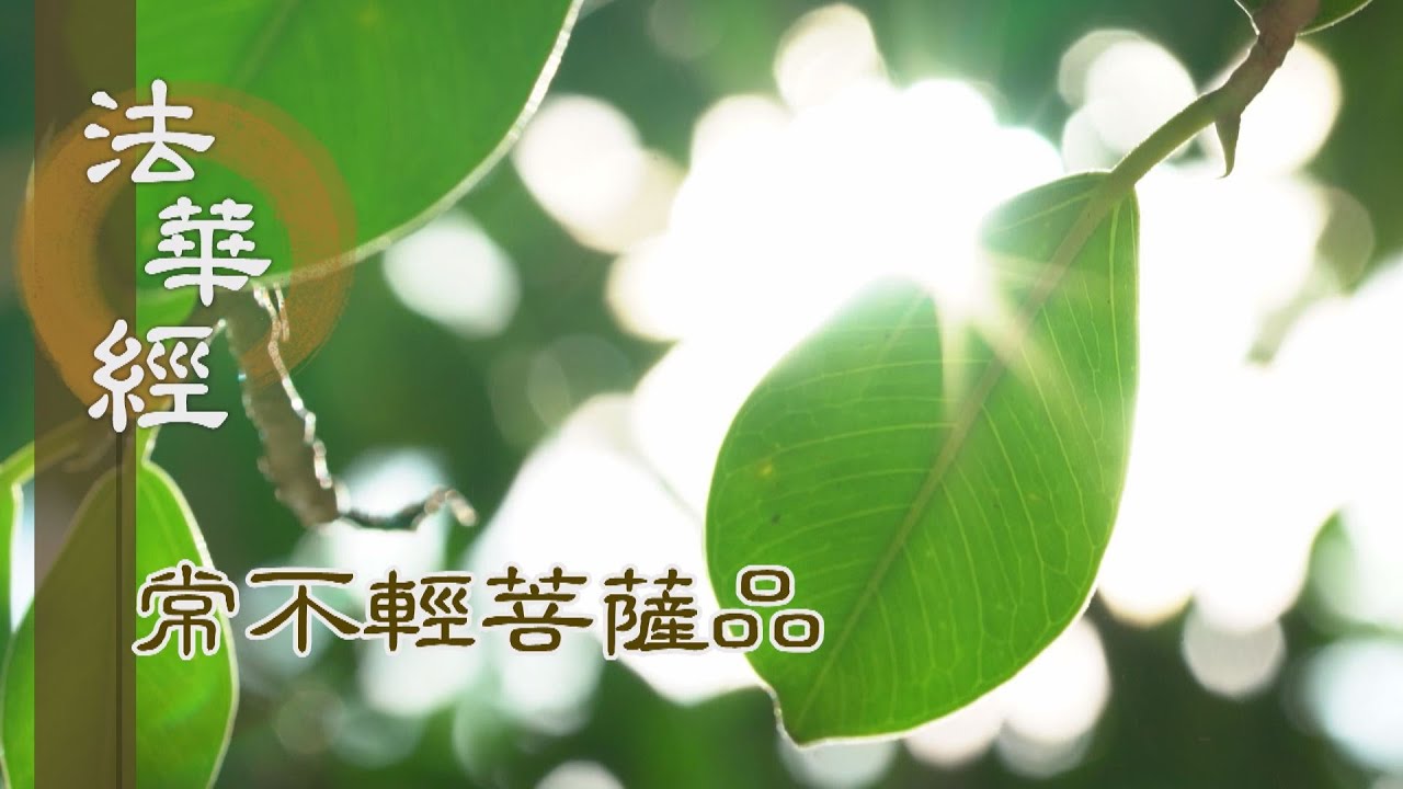 【靜思妙蓮華】法華經常不輕菩薩品 - 正法延續 恆時不滅 - 第1754集 20240902  (ENG CC)