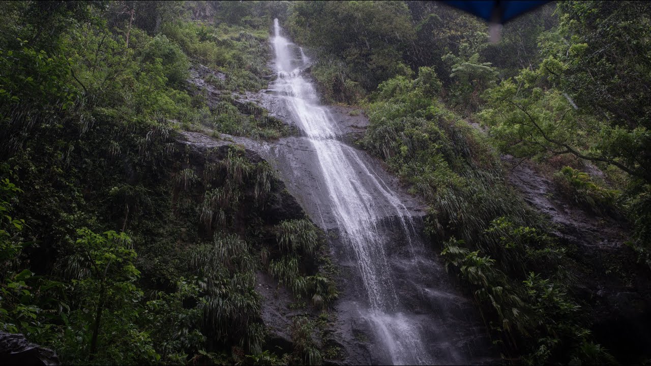 031 - &Icirc;le des cara&iuml;bes - La Martinique - Cascade Couleuvre