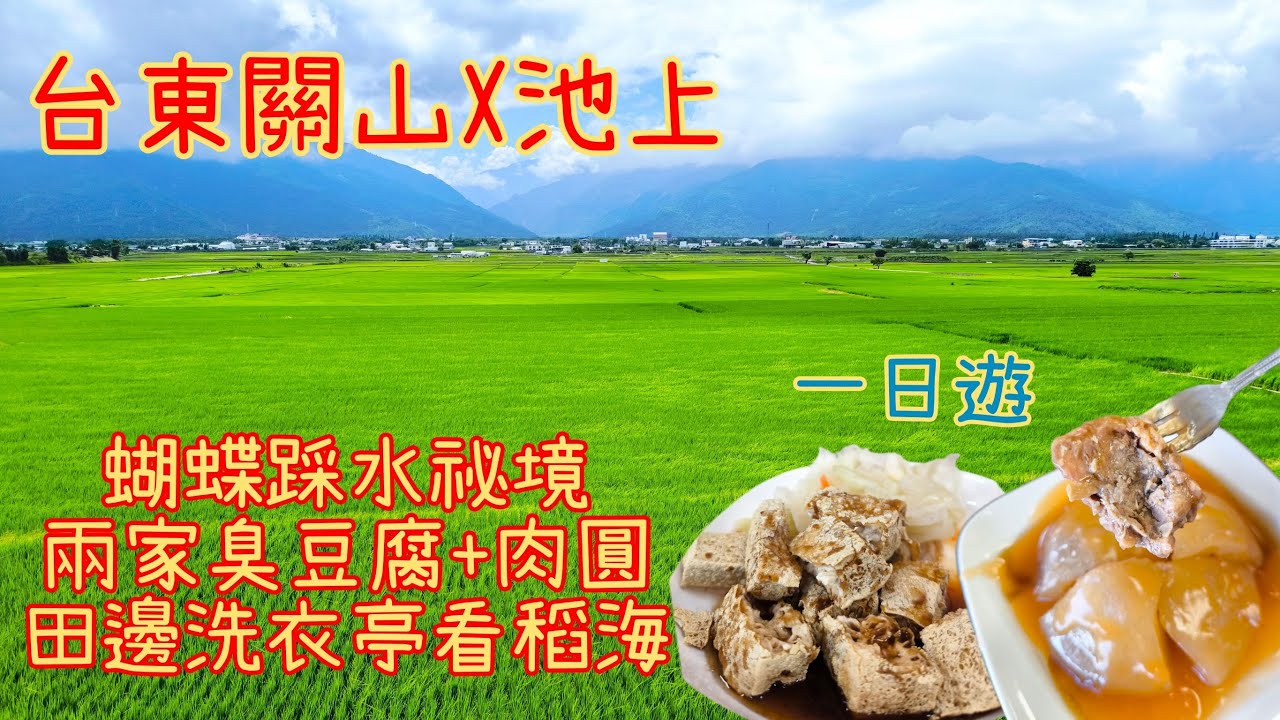 一日吃遍台東關山池上| 肉圓+兩家臭豆腐吃到飽＋探訪魚梯秘境