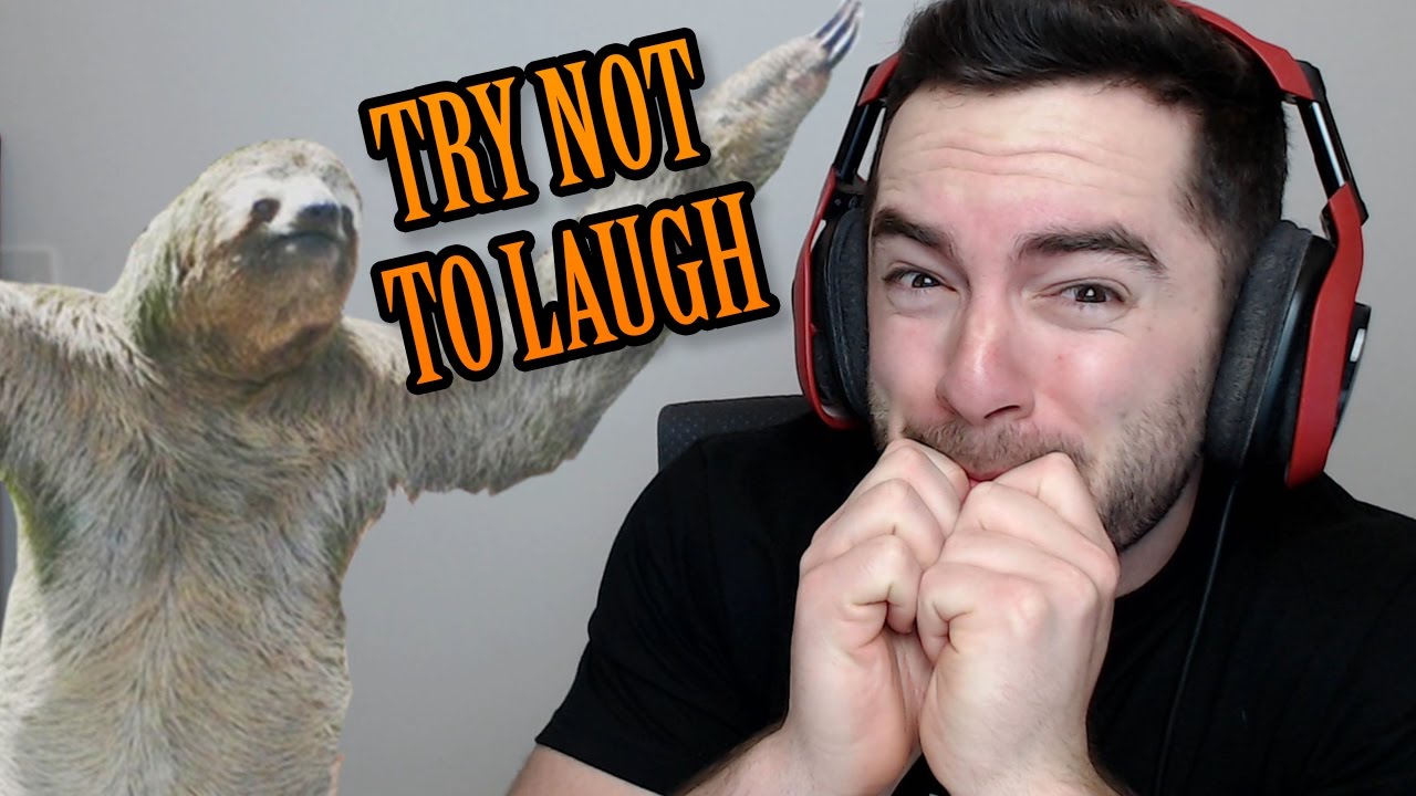 TRY NOT TO LAUGH - Animal Fails