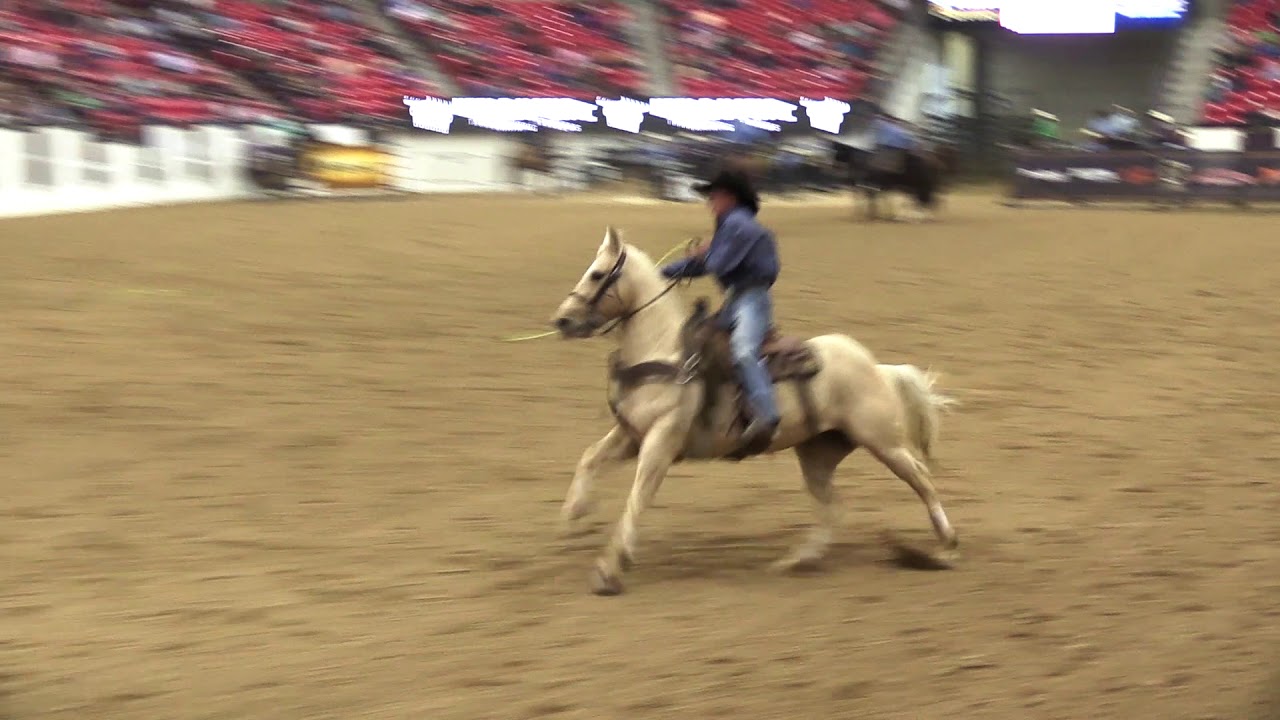 World Series of Team Roping #15 Finale Top 10 - 2017