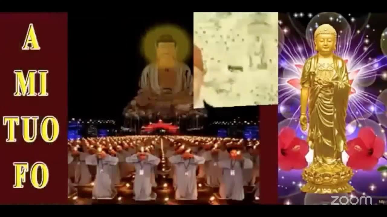 Daily Nianfo Meditation