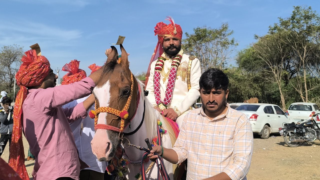 મોટા ભાઈના લગ્નમાં બેન્ડ પાર્ટી અને ઘોડી ડાન્સ કરાવ્યો વરરાજા સાથે અને ઢોલી એવું વગાડ્યું કે મોજ પડી