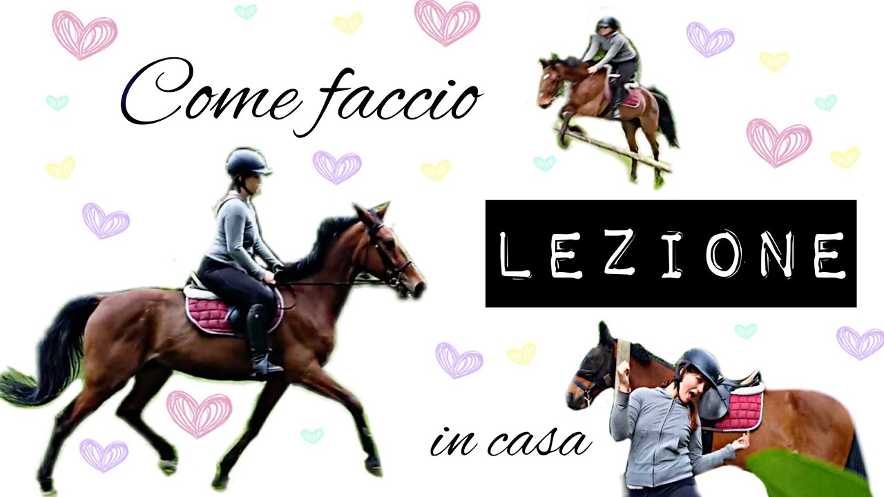Come preparo e lavoro il mio cavallo in casa!