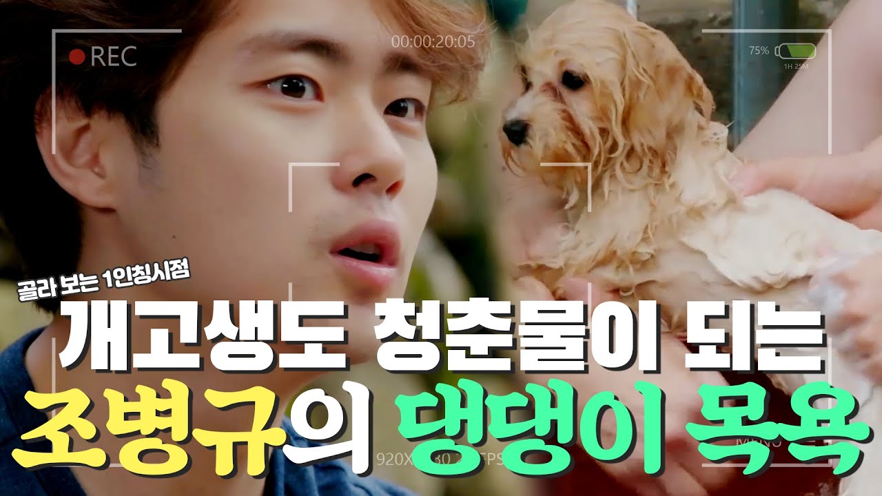 [#1인칭시점​​] 개고생도 💙청춘물💙로 만드는 조병규의 '댕댕이 목욕' 시키기🐶 MBN 20190817 방송