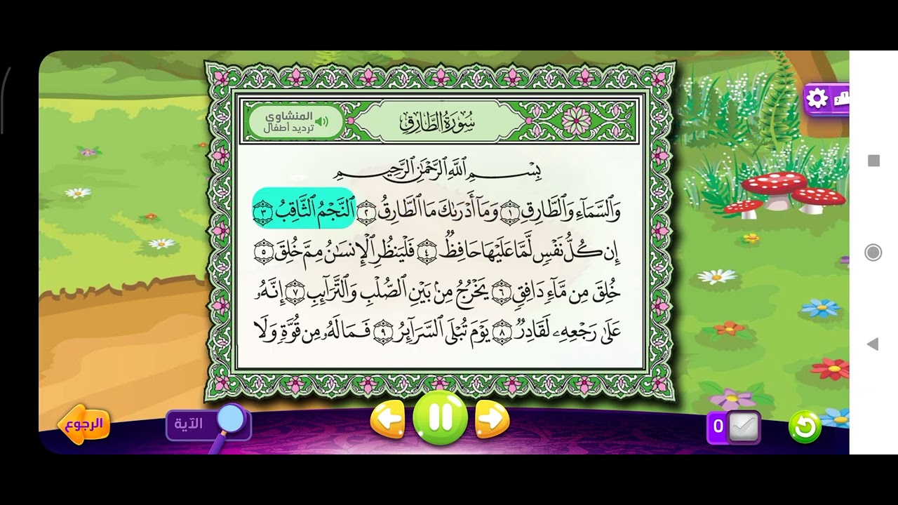١١ فبراير ٢٠٢٦