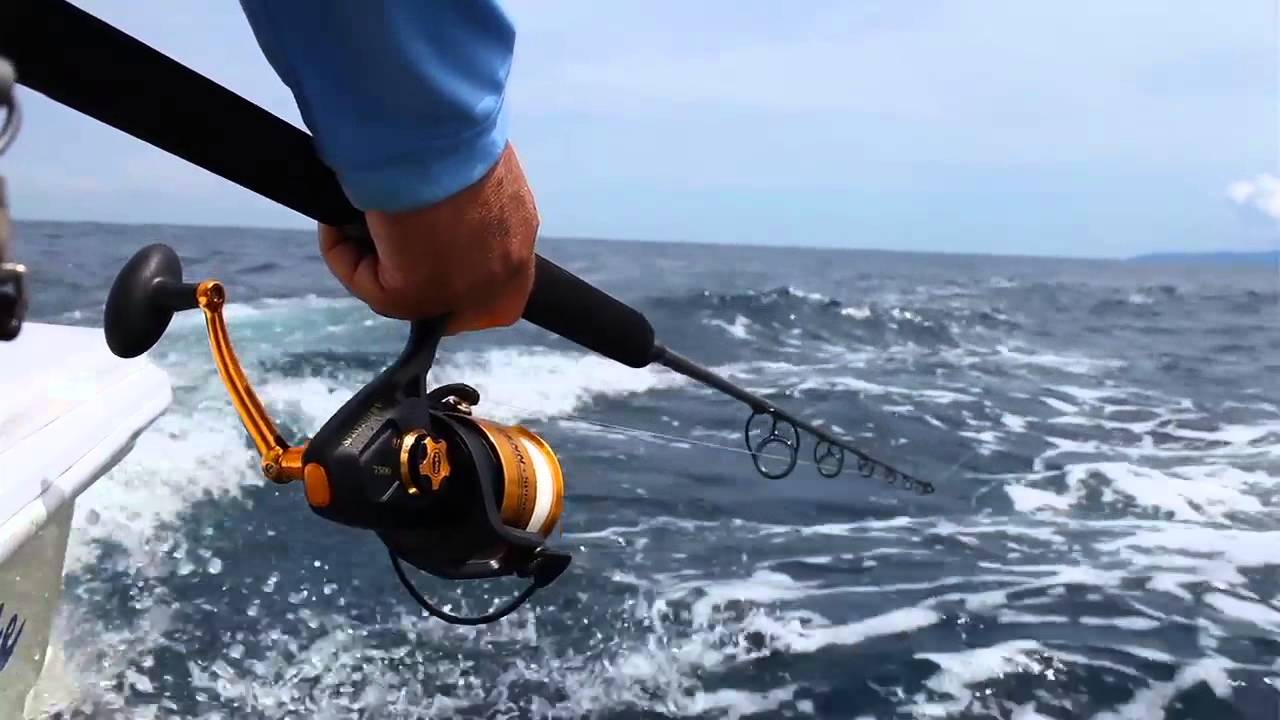 Live Baiting for Yellowfin Tuna