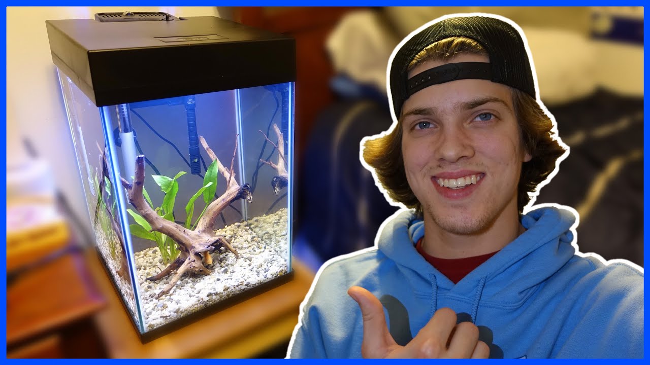 My NEW *Planted* TOWER AQUARIUM!