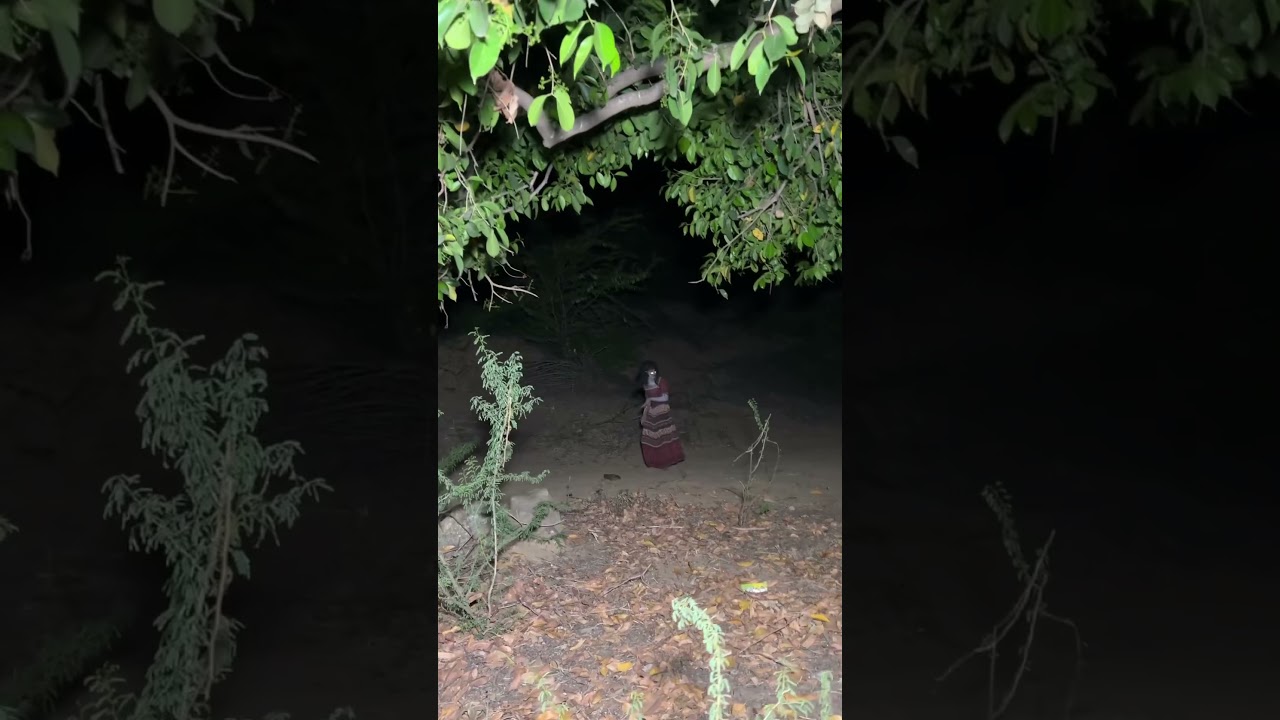 A witch swinging on a haunted Tree 🌴 #swinging #haunted #trendingreels #nightlife #vlog #mahadev