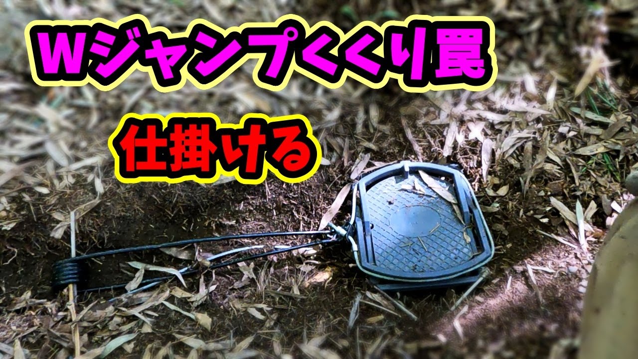 【狩猟】くくり罠（ねじりバネ、 ジャンプ踏み板）を仕掛ける