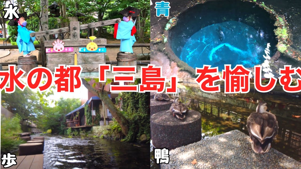 【三島観光】水の都 三島駅周辺を歩く 楽寿園 源兵衛川 柿田川公園 鮎壺の滝 三嶋大社 静岡観光 伊豆観光