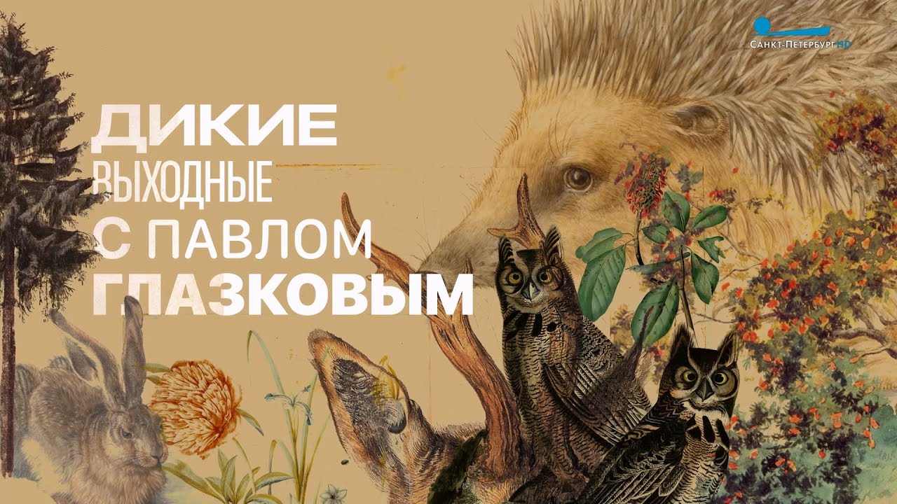 Дикие выходные с Павлом Глазковым. Заказник «Сестрорецкое болото»