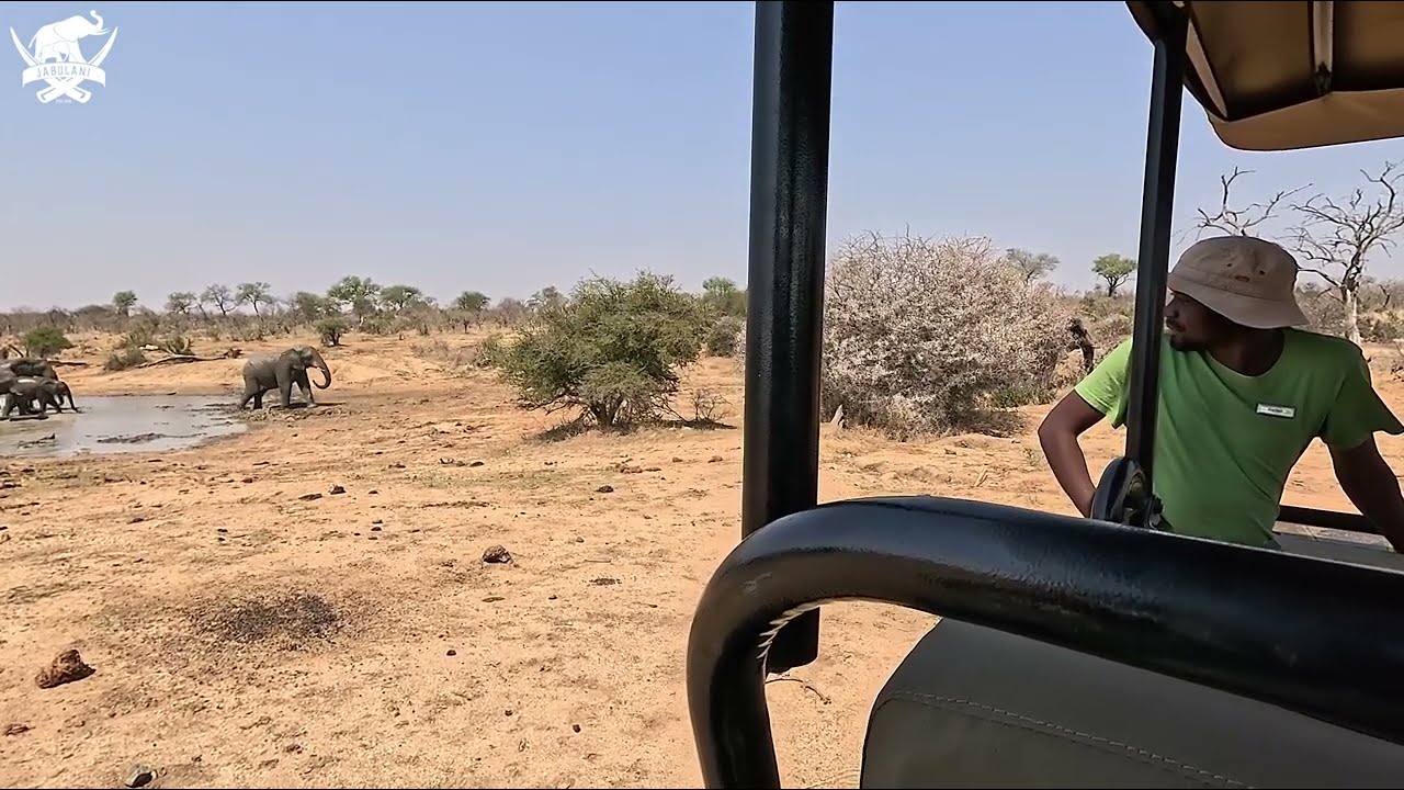 Lundi Versus Some Very Stubborn Rhinos | Flashback to Elephant Escapades at the Waterhole