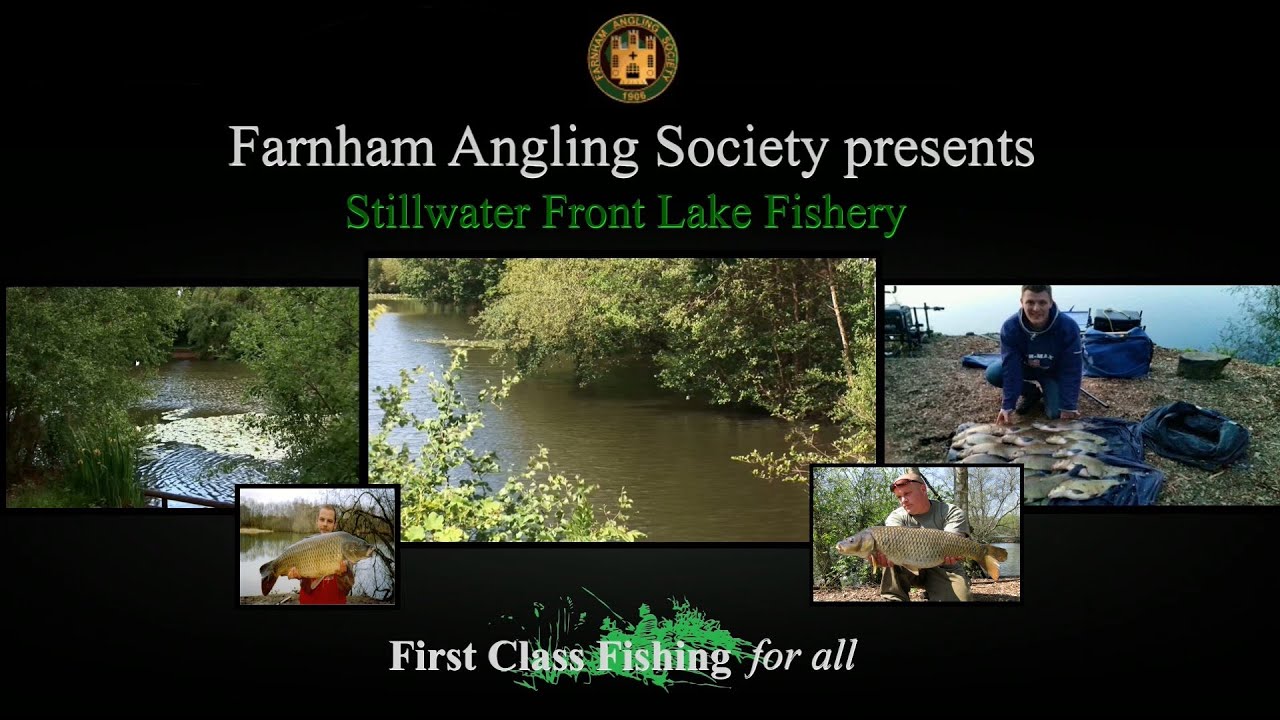 Farnham Angling Society Stillwater Front Lake fishery