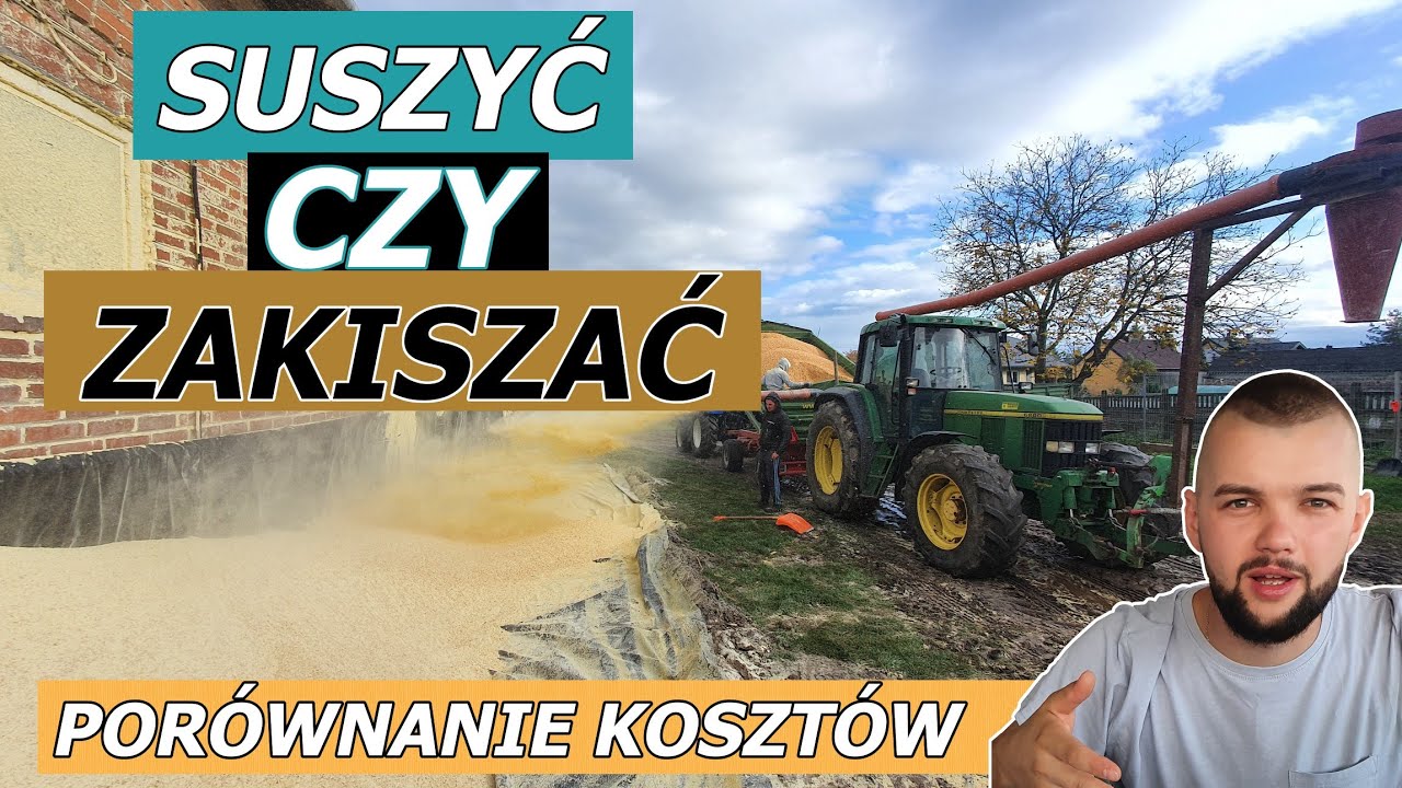 ODMIANA KTÓRA SYPAŁA 18,3T/HA - KISZONE ZIARNO KUKURYDZY DLA BYDŁA