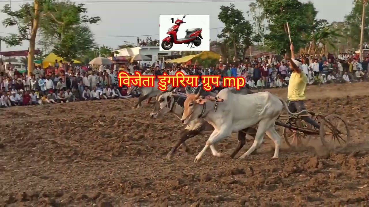 फाइनल पट प्रतियोगिता बाम्हनवाडा जिला छिंदवाड़ा राज्य स्तरीय 15/5/2025