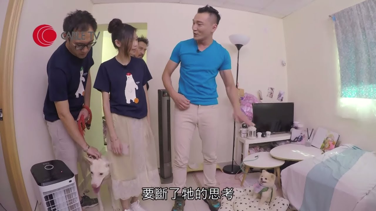 神經質唐狗教極唔聽！Eric Ko冒被咬之險 搶佔狗屋等狗停吠 用身體施壓教犬隻學習權利分配【煉狗術師S1 EP7-2&3】