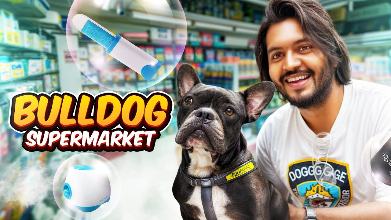 পাগলা বুলডগ গেল পশু পাখির মীনা বাজারে । Bulldog goes to pet supermarket