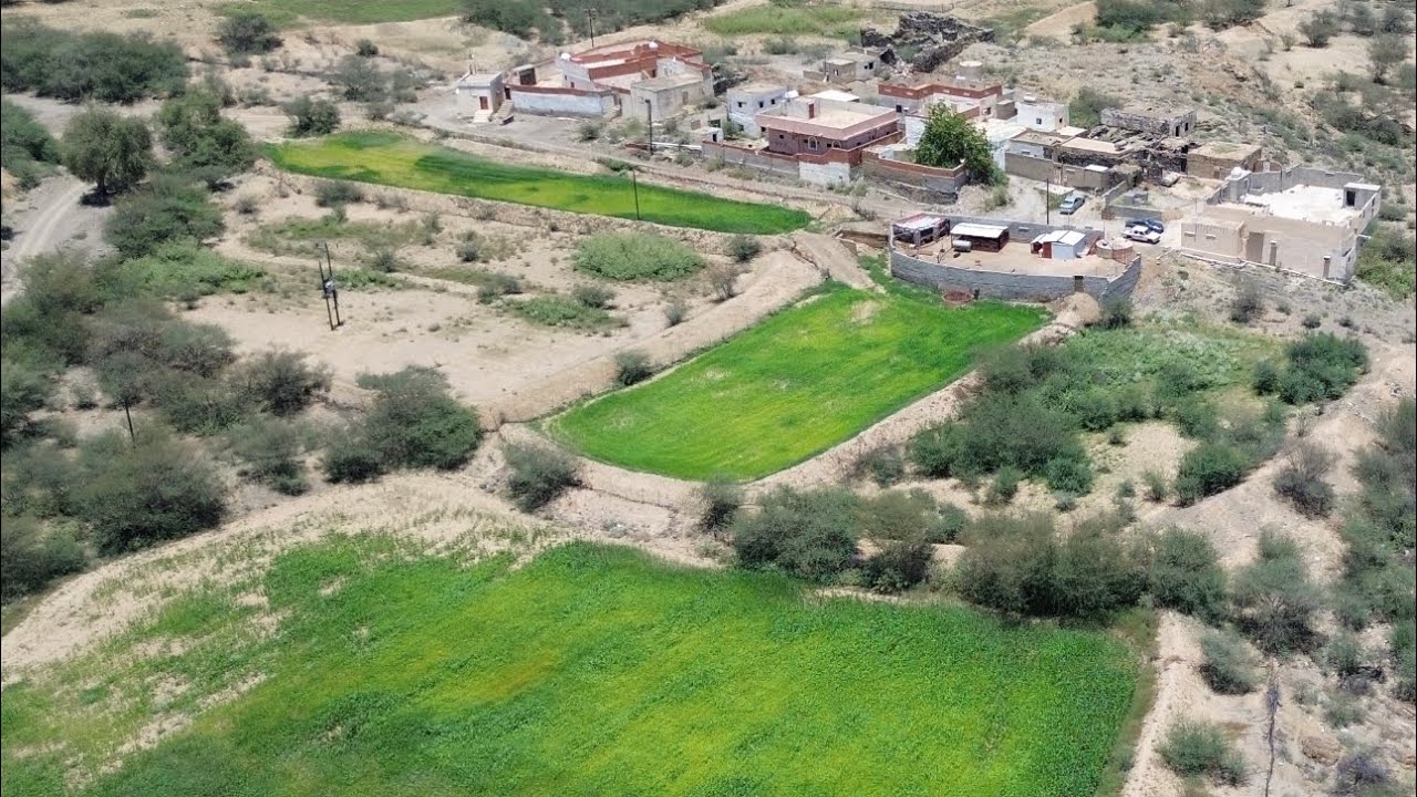 #شيلة  المخواة ماكماها