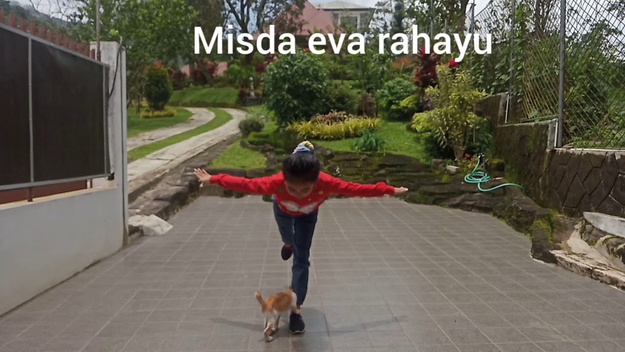 misda