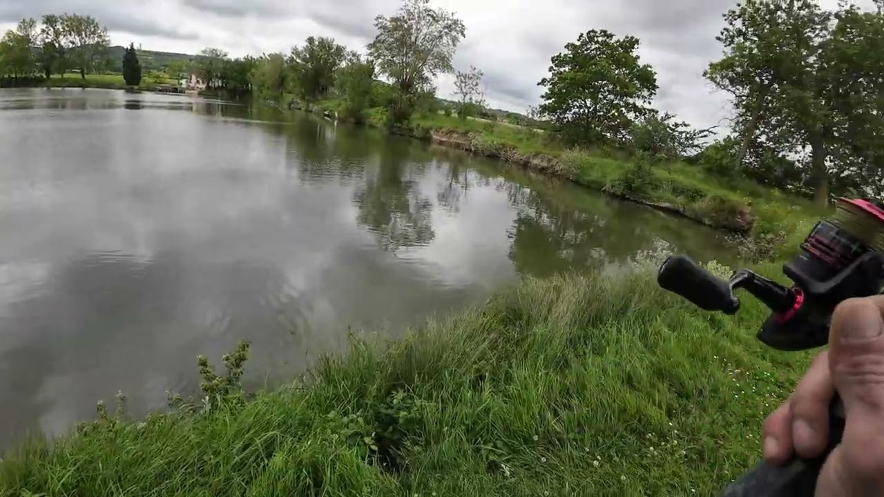 carnassier  lac du Mas-Saintes-Puelles 2025