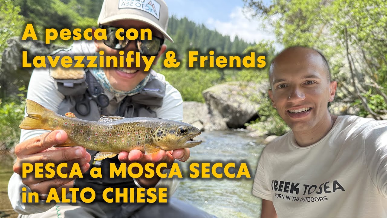 A pesca con Lavezzinifly & Friends | PESCA a MOSCA SECCA in ALTO CHIESE Trote e Salmerini
