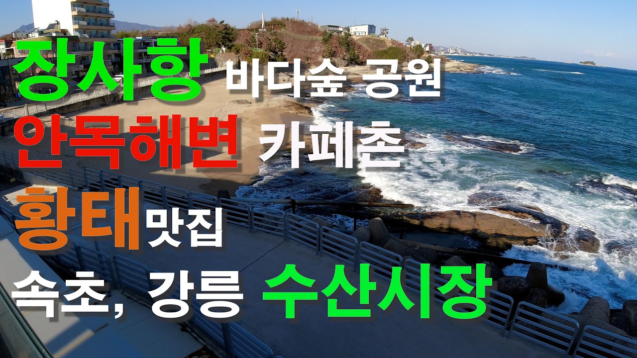 장사항 바다숲 공원, 황태 맛집, 안목해변 카페촌, 속초관광수산시장, 강릉 중앙시장