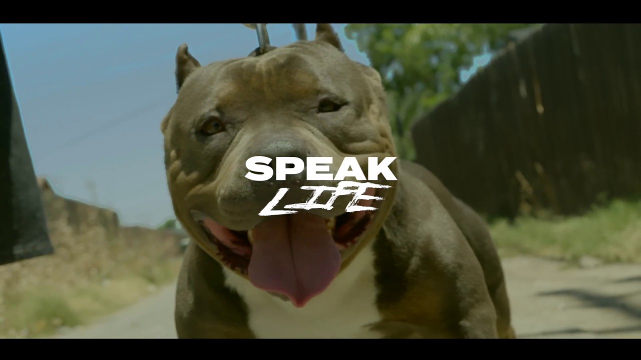 SPEAK LIFE - ZADOK & SEVIN DUCE - HOGMOB.COM