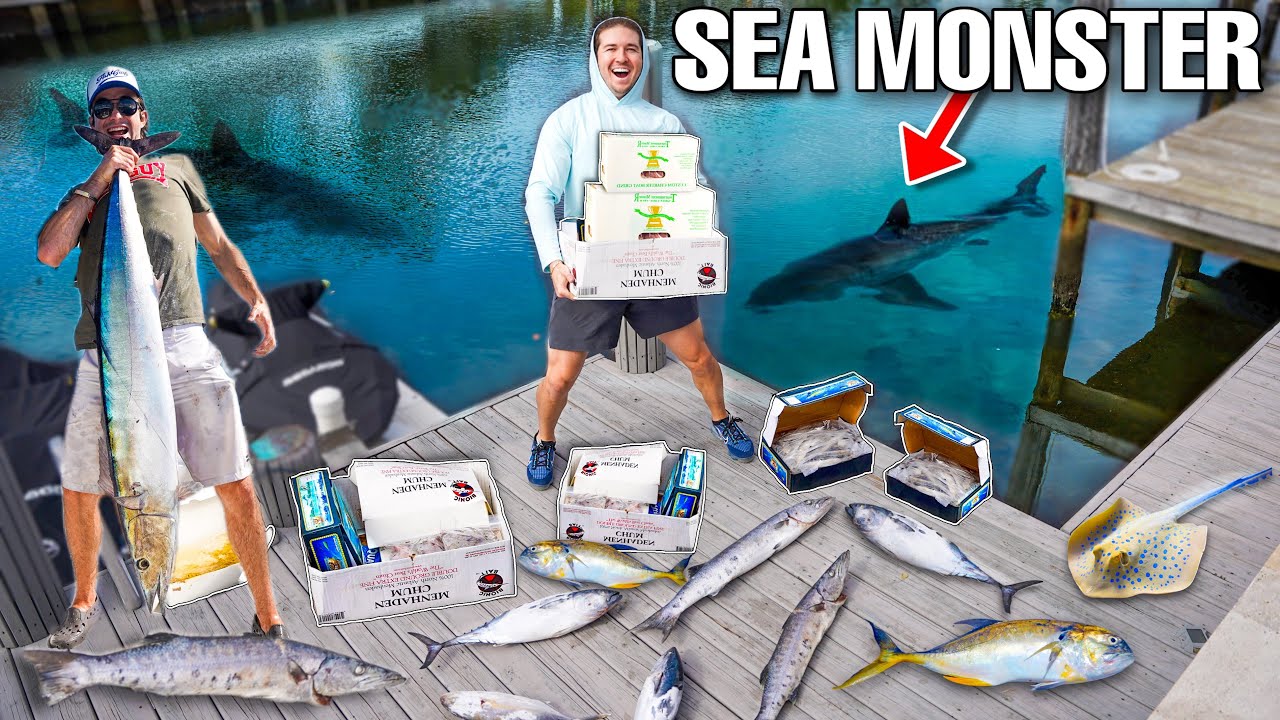Finding Aquarium SEA MONSTERS Using 1,000 LBS Of DEAD FISH!
