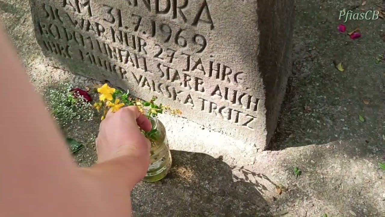 Zu Besuch: Alexandra ( Sängerin Mein Freund der Baum ) Stein Promi Sängerin singer 
