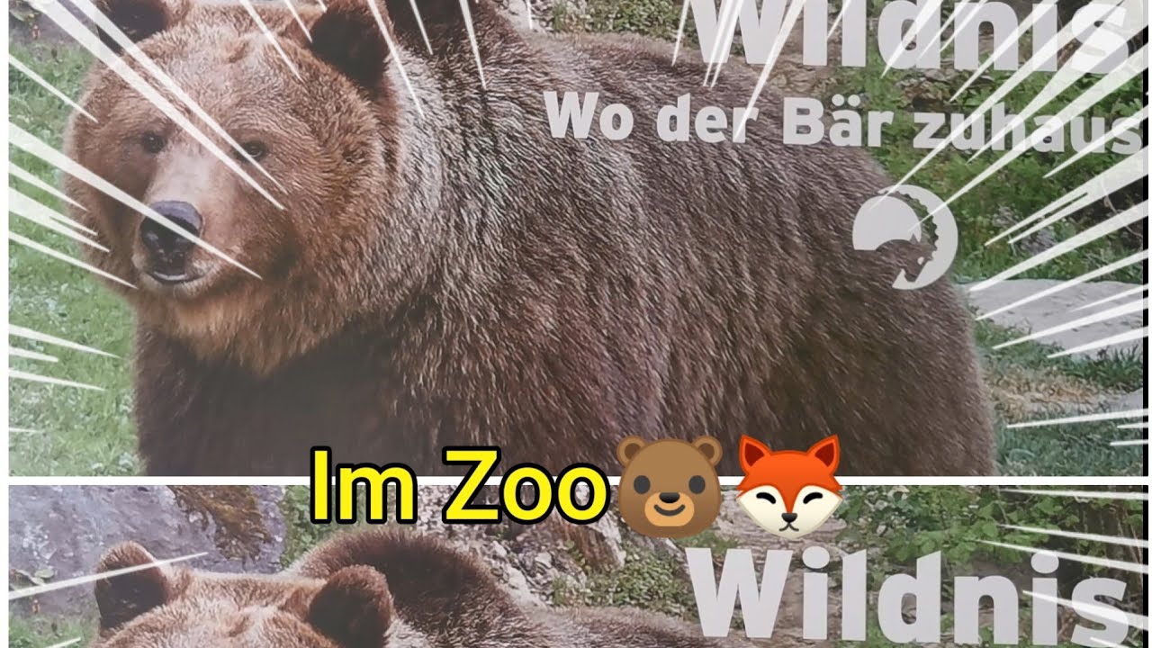 الجزء الثاني من جولتنا بحديقة الحيوانات 🐻🦊😊أجواء روعة بالربيع وريحة الطبيعة مع schweiz dz🇩🇿