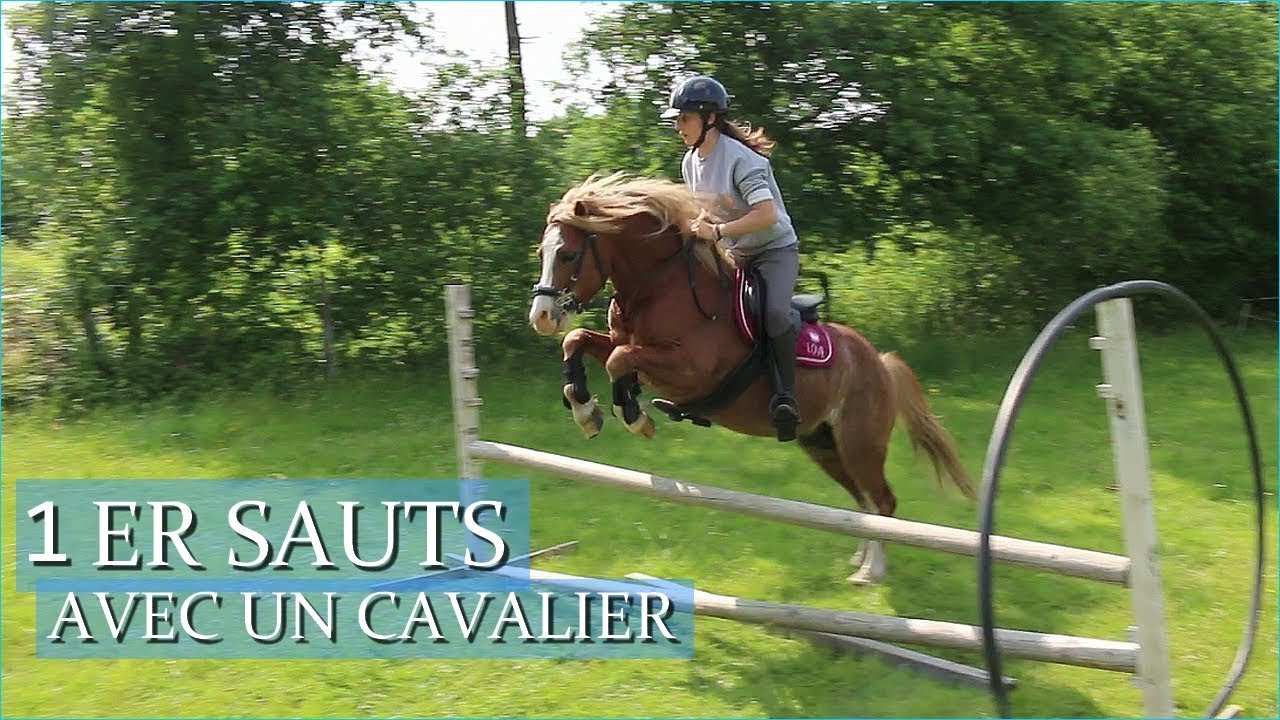 1er SAUT AVEC UN CAVALIER ! - Débourrage