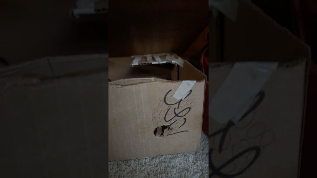 Showing my project for school!!!￼ (please read the description)