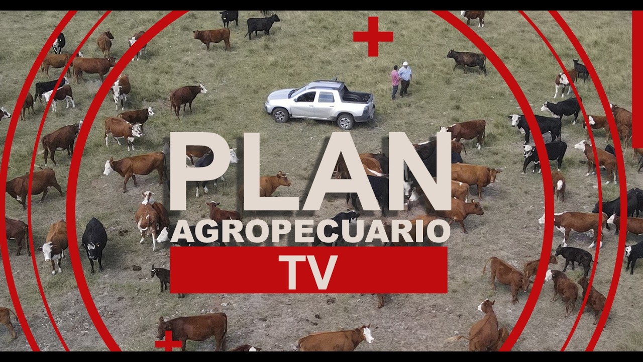Programa del Plan Agropecuario del 2 de febrero