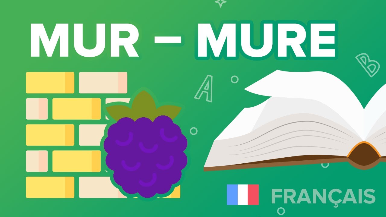 Les Homonymes Mur, Mure, Mûre - Français - Collège - Mathrix