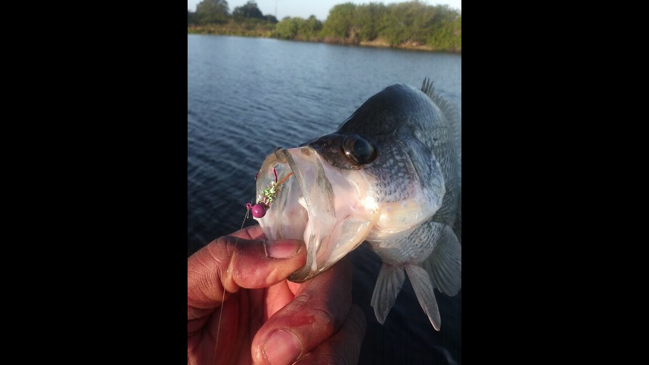 My opinion: Strongest/Best Panfish Line