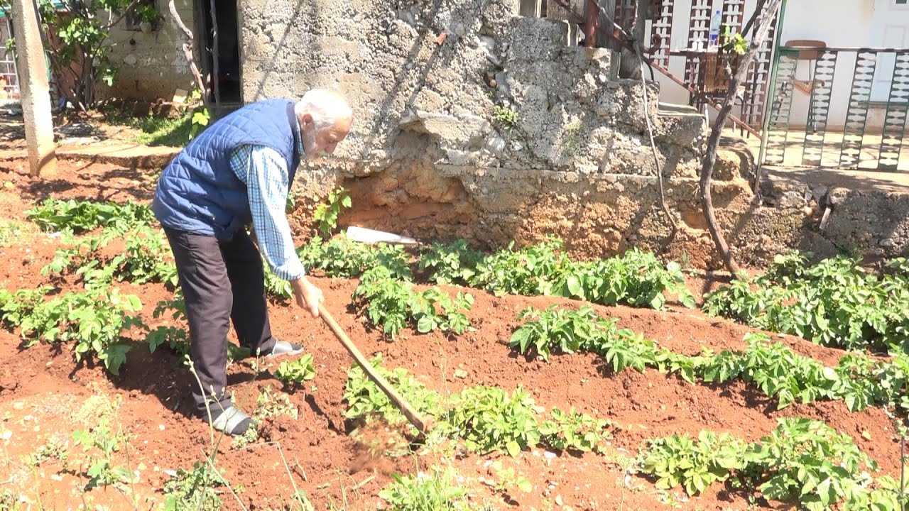 Gradska kod Ljubuškog - Hercegovački nomadi