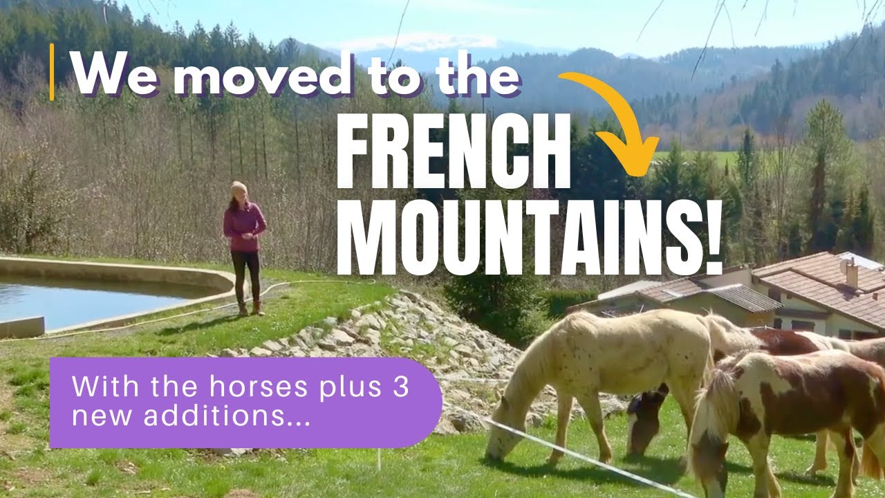 We Moved to the French Mountains! With the horses plus 3 new additions...