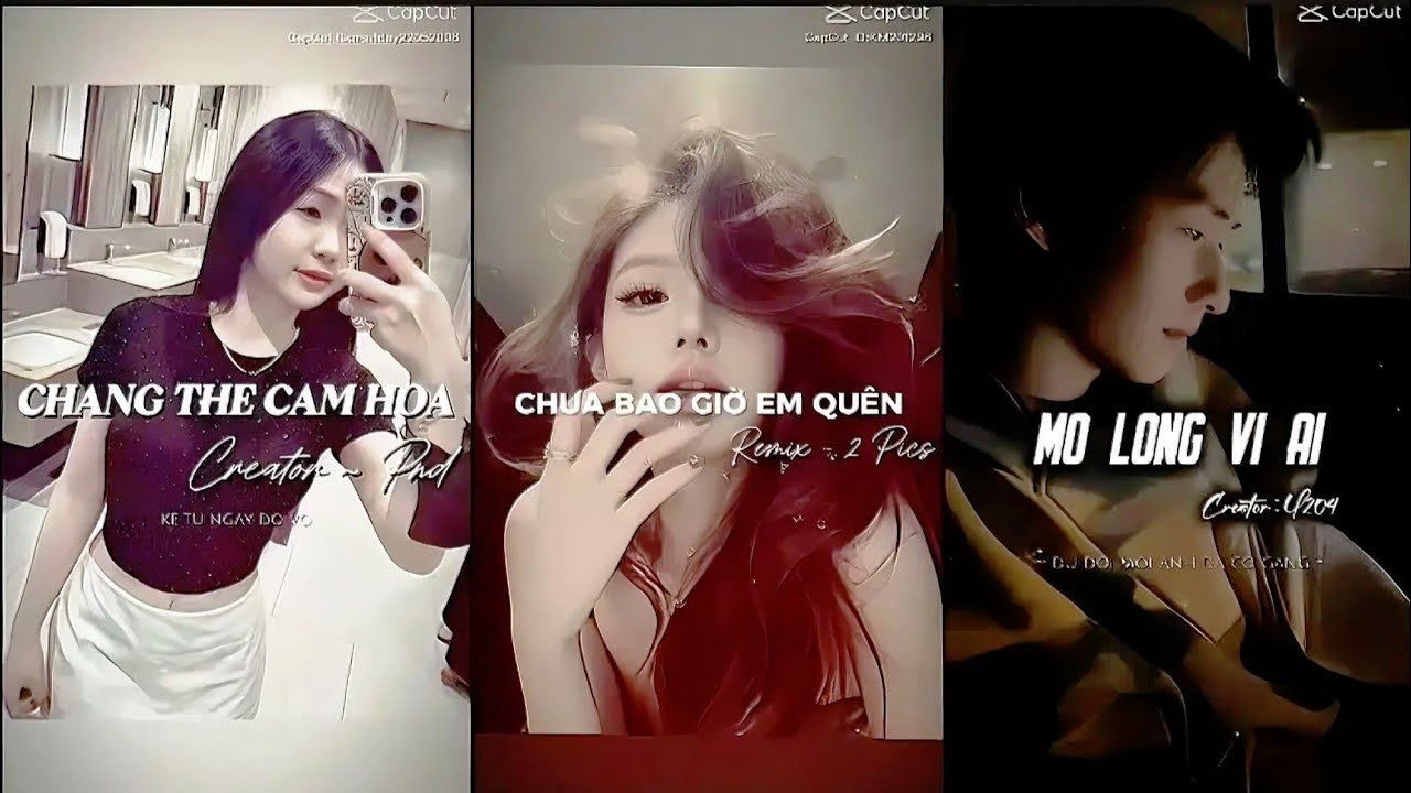 [ TikTok ] Tổng Hợp Các Bản Remix Cuốn Hút Nhất Mà Bạn Không Nên Bỏ Qua 🔥. P201 || Remix 09 #capcut