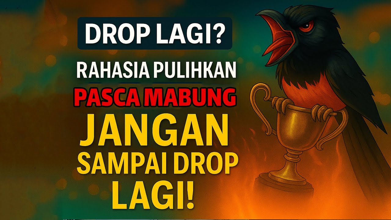 Rahasia Pulihkan Murai Pasca Mabung, Jangan Sampai Drop Lagi!