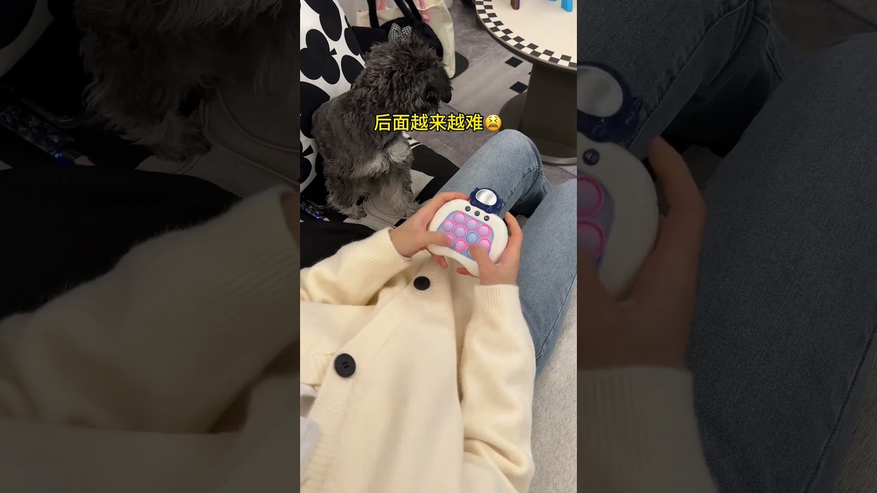 #Toys #Funny #Pranks #Couples #DailySharing #MarriedLife #Girlfriend #Love #Sweet