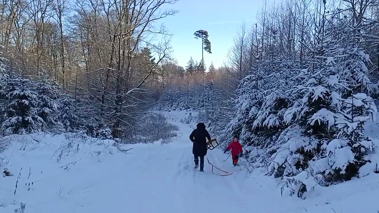 11.01.2026_ATV_cForce1000_im_Schnee_Wald_Schlitten_verfolgen.