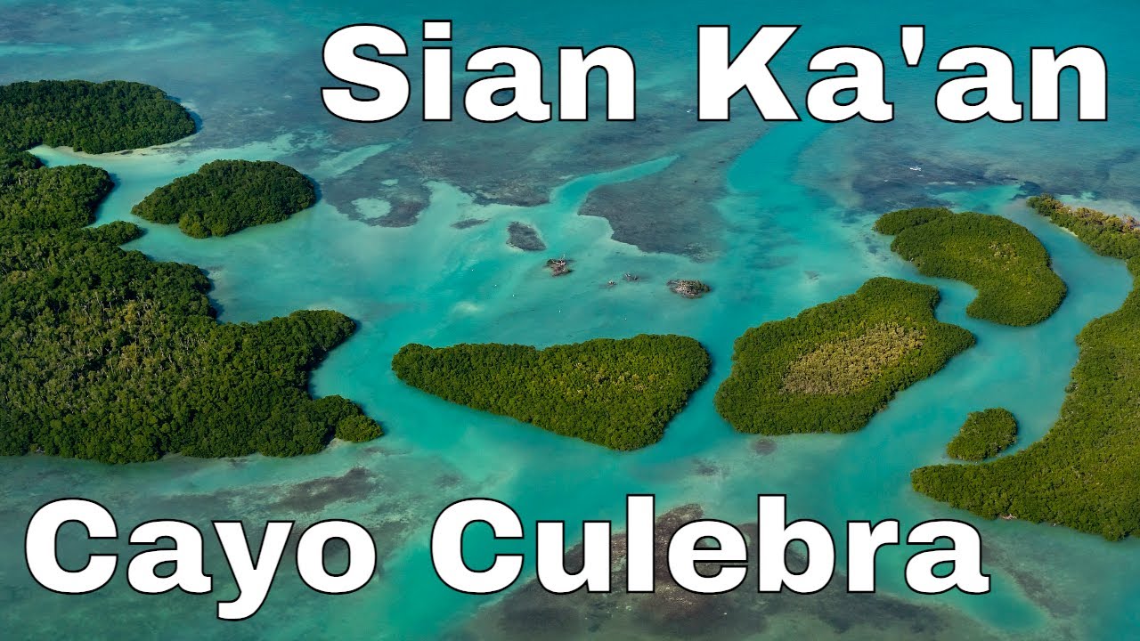 Exploring the Sian Ka'an Biosphere Reserve - Cayo Culebra