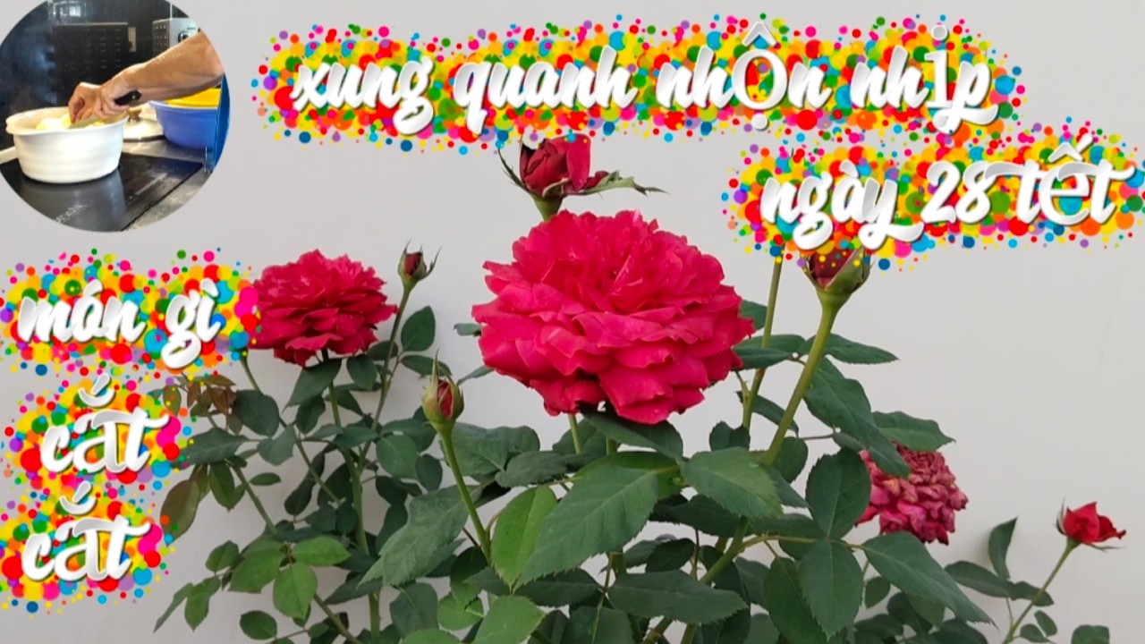 Vợ chồng Việt Đức:)#275# nấu món gì ngày 28 tết/ nhà vườn miền quê những ngày giáp Tết bính ngọ