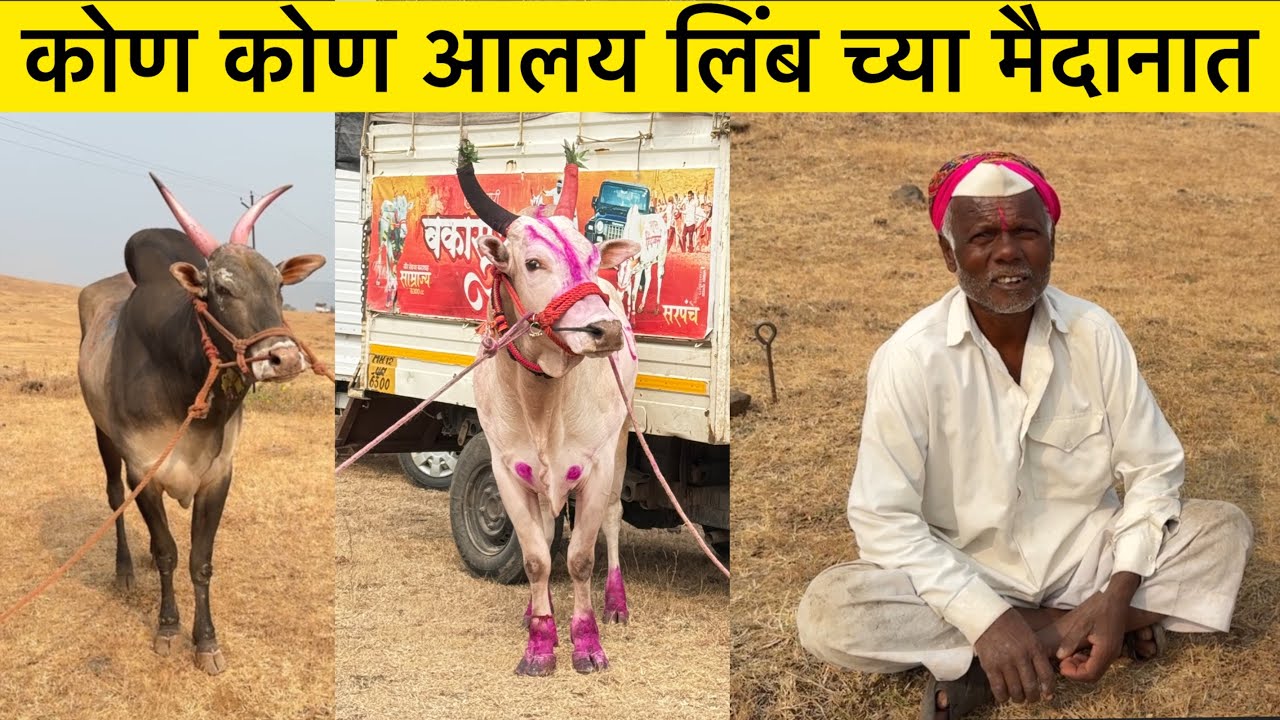 कोण कोण आलय लिंब च्या मैदानात | भाग 2