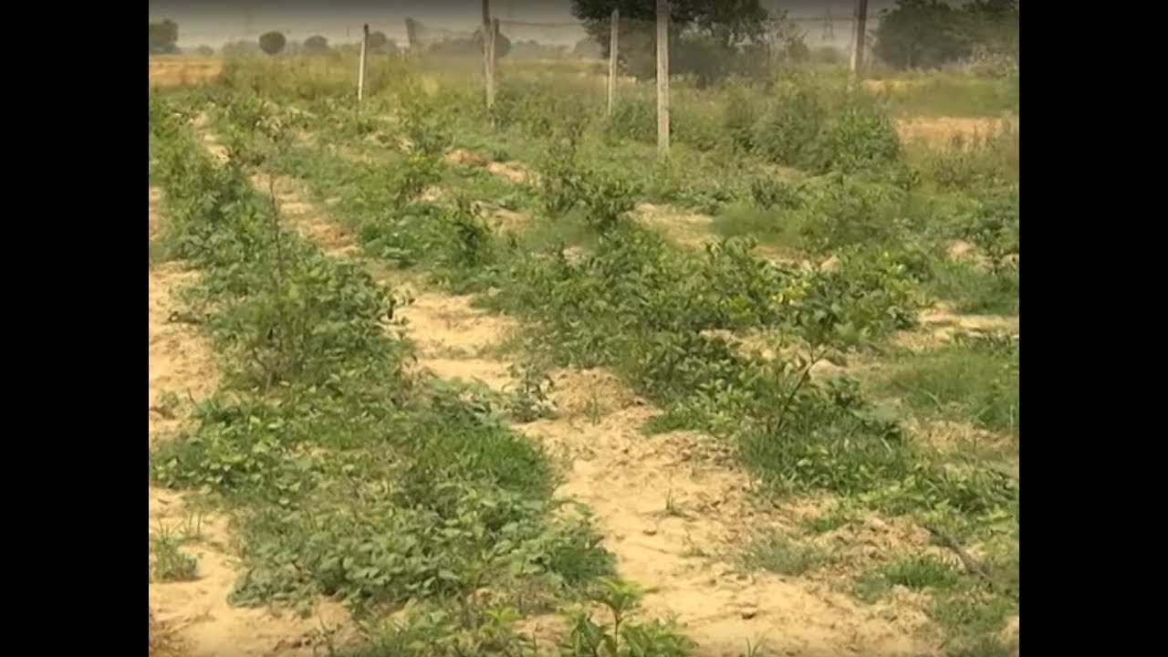 Gaon Kisan - Integrated Farming special
