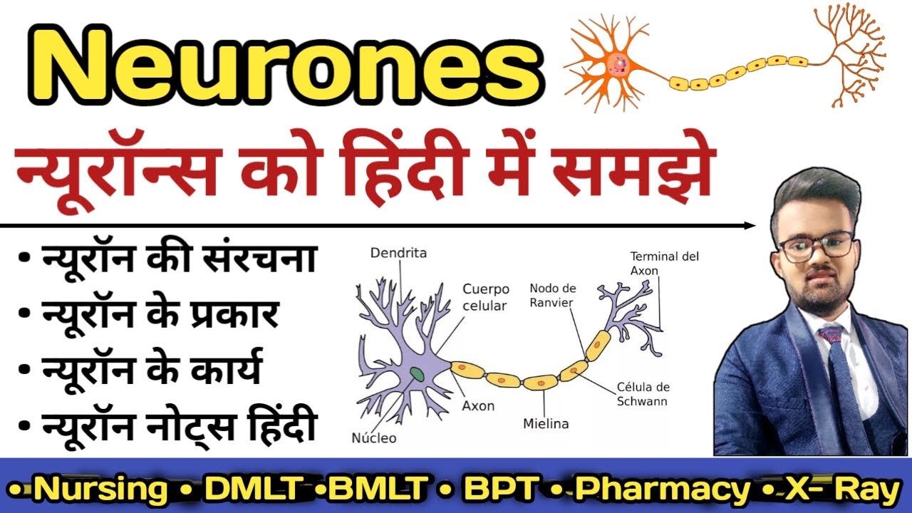 Neurone in hindi | Structure of Neurone | Sensory and Motor Neurones | Types of Neurone