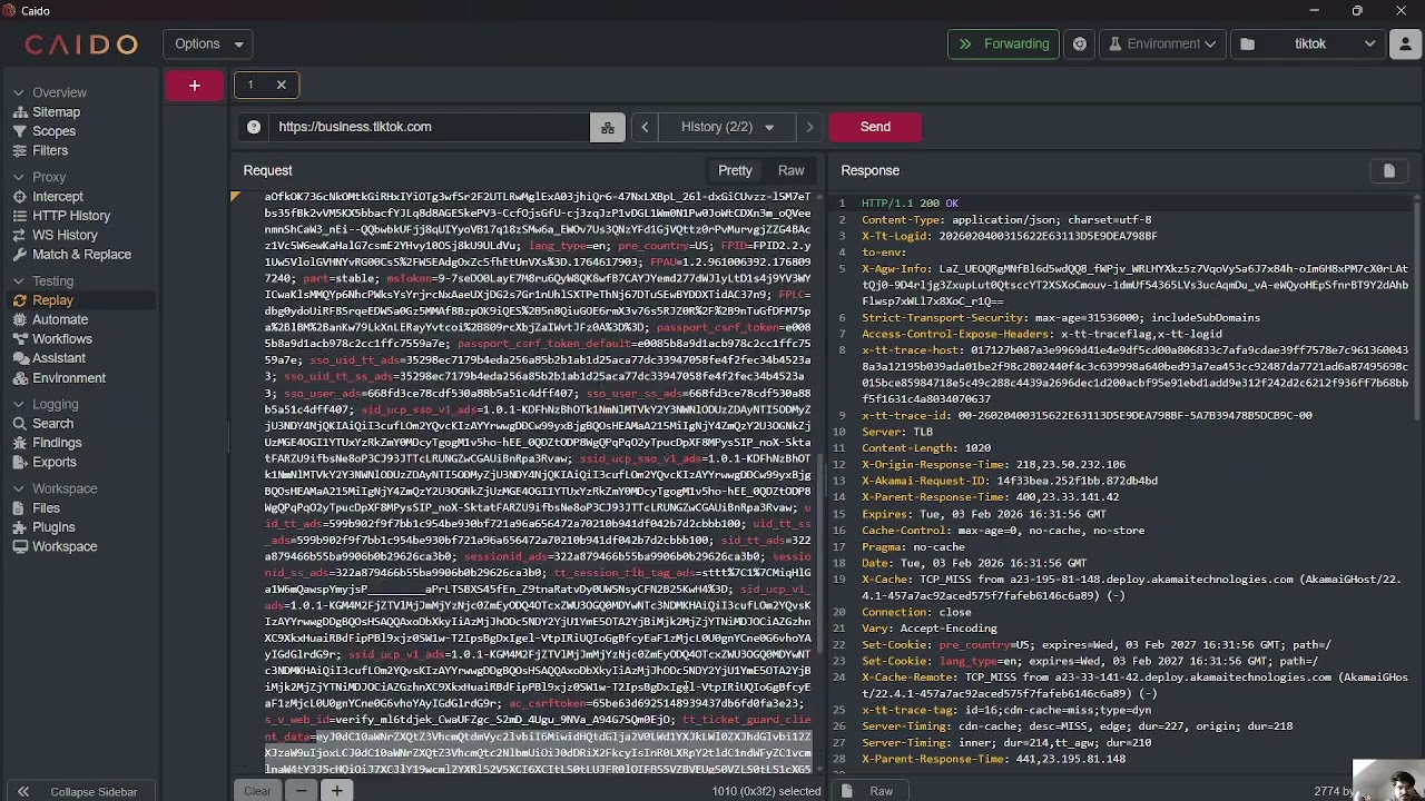 using Caido for web app analysis